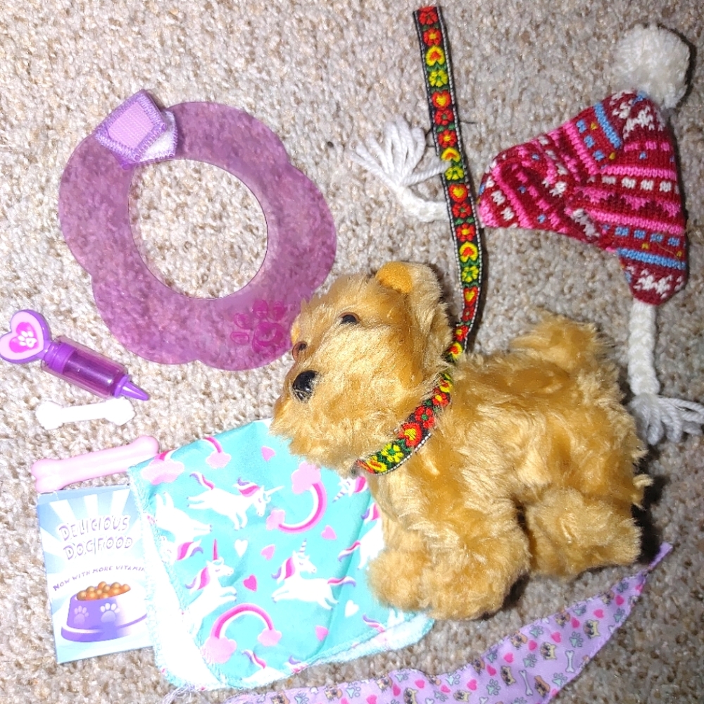 American Girl Pet with accessories non AG